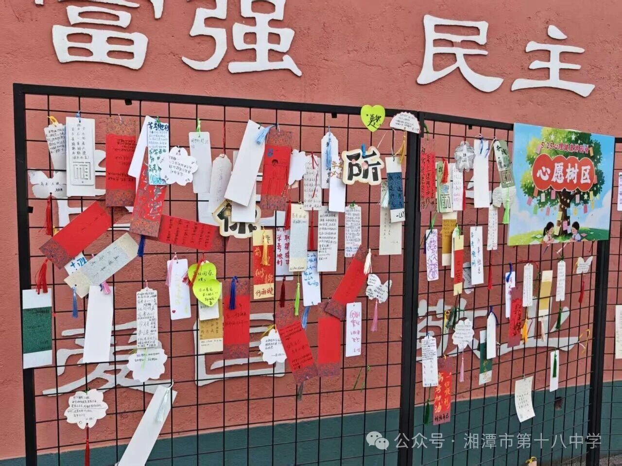 微信图片_2026-06-01_170628_875