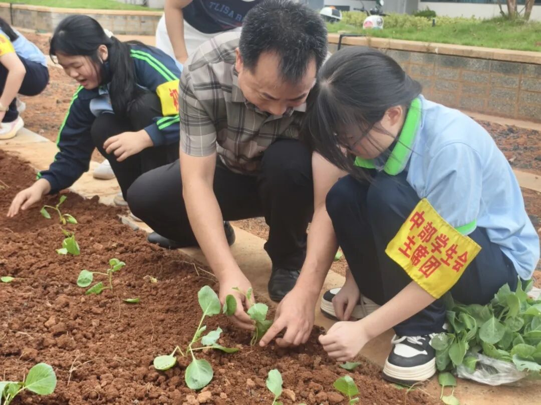 “校长喊你来劳动”校园劳动实践活动启幕  ——湘大附校师生共赴田间地头上好劳动教育课