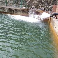 新化县胜利煤矿抓生产重环保，促进人与自然大和谐