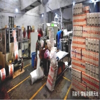 健康强壮小肥象，成就了“咩咩羊”