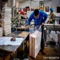 新邵咩咩羊：老厂区里崛起的纸品新力量