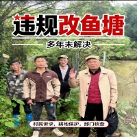 违规改鱼塘多年未解决,村民诉求,耕地保护,部门核查