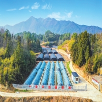 岳阳县张谷英镇 特色产业蹚出共富路