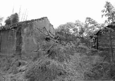 12年间他失去了四个儿子，竟然是嫂子下的毒