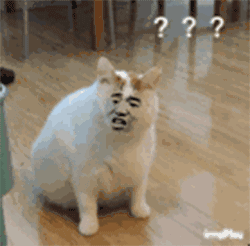 丧心病狂！女子因何在商场门口惨遭割喉？