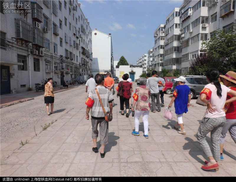 身边的老年志愿者（图20）