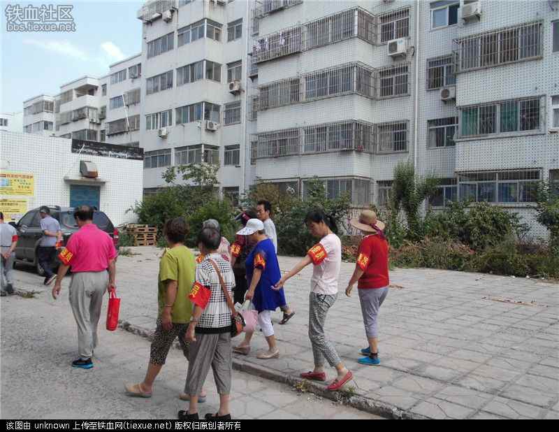 身边的老年志愿者（图22）
